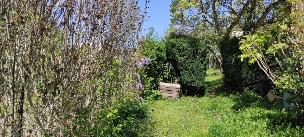 Maison Au Pied De La Montagne Aspet Exteriör bild